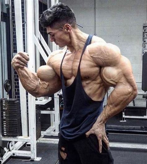 Morphs By Hardtrainer Artists Showcase Muscle Growth Forums Bpi Sports Body Building