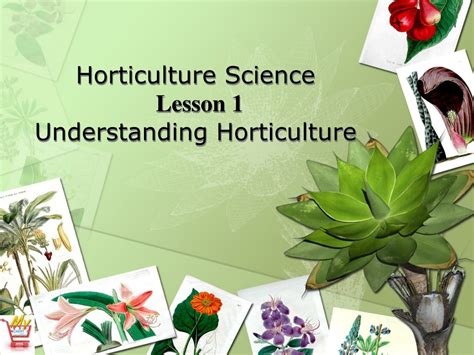 Ppt Horticulture Science Lesson 1 Understanding Horticulture