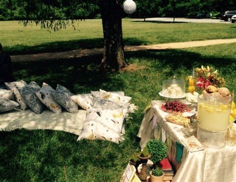 French Country Picnic In The Park Baby Shower Picnic Social Catch