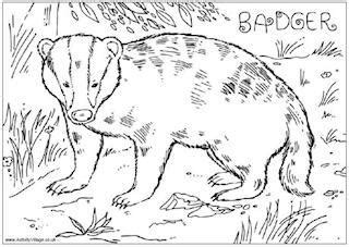 Nocturnal animals coloring page that you can customize and print for kids. Badgers