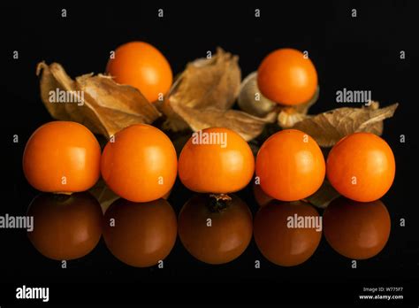 Group Of Seven Whole Fresh Orange Physalis In Row Isolated On Black