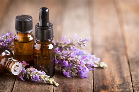5 Aromatherapy Essential Oils For Health Wellness And Well Being