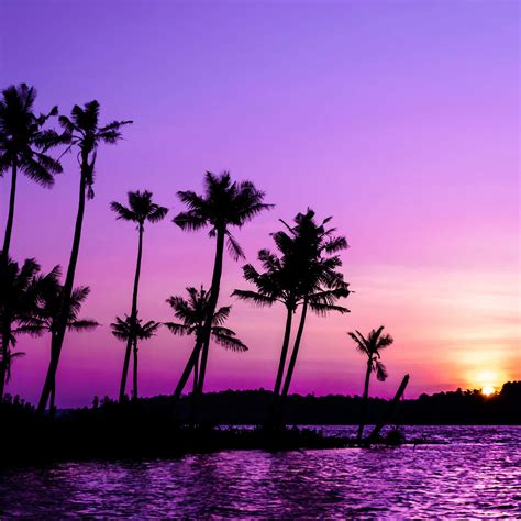 Download Experience The Beauty Of A Blue And Purple Sunset Wallpaper