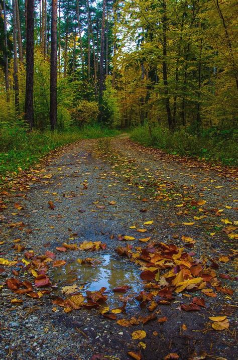Autumn Puddle Is A Photograph By Christine Czernin Morzin Source