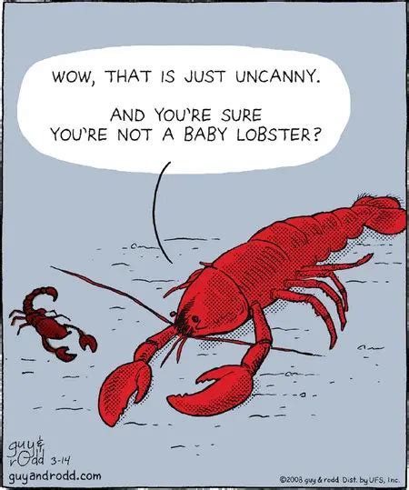 Lobster Puns