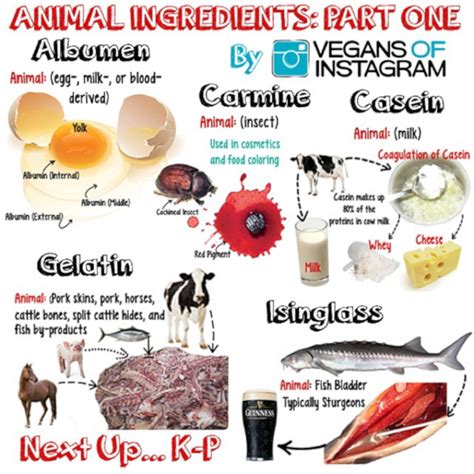Animal Derived Ingredients Lists Satyavedism