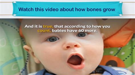 Blood vessels invade the cavities, and osteoblasts and osteoclasts modify the calcified cartilage matrix into spongy bone. Lesson 1.3- Growing Bones - YouTube