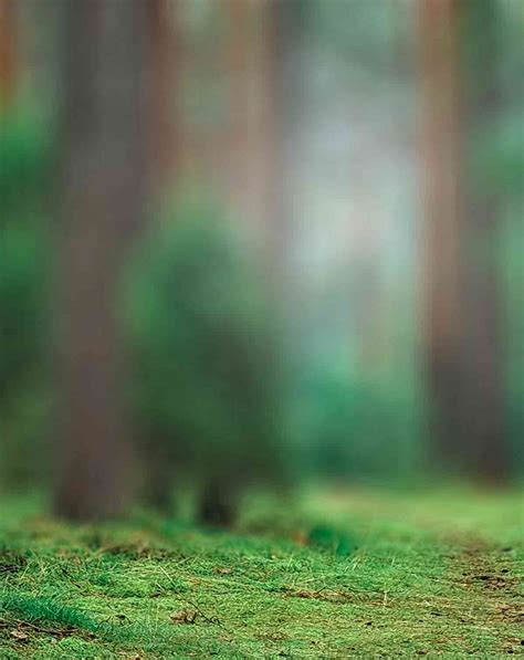 forest-full-blur-background-with-white-foggy-effect-64