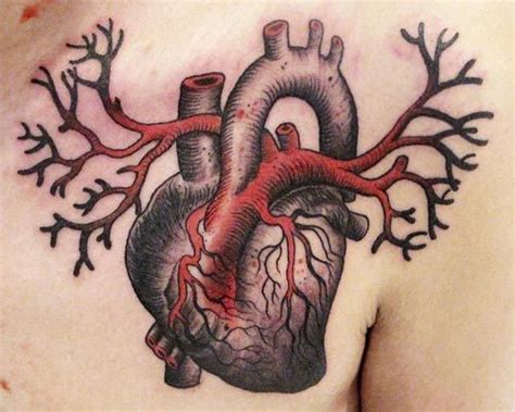 De 33 Bästa Anatomical Heart Tattoo Bilderna På Pinterest