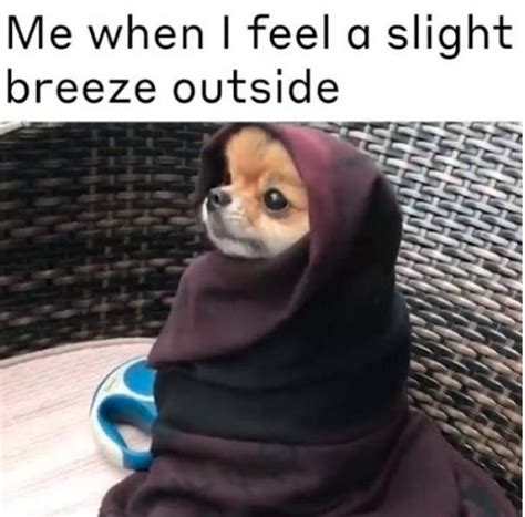 25 Relatable Post For People Who Are Always Cold