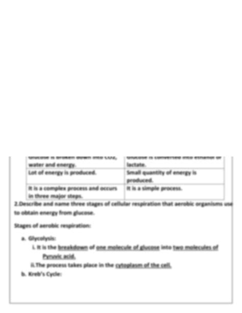 Solution Unit 12 Plant Anatomy Notes Studypool