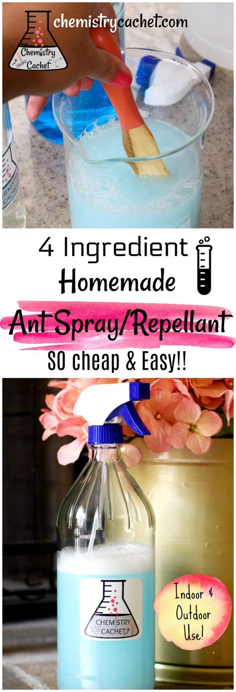 You'll just need a spray bottle and you're all ready to make your homemade ant killer. Chemistry Secrets: Cheap & Easy Homemade Ant Spray | Ant ...