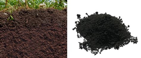 Organic Matter (OM) and the soil | Plant Mate Organic Fertilizer