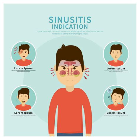 Free Sinus Indication Illustration 171458 Vector Art At Vecteezy