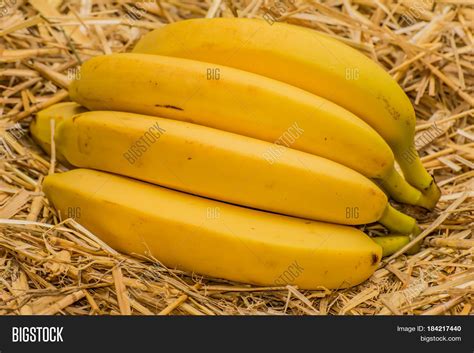 Organic Bananas Latin Image And Photo Free Trial Bigstock