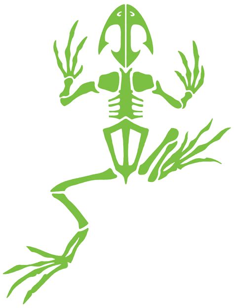 Navy Seal Frog Logo