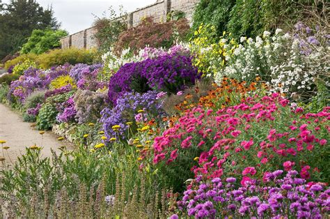 English Herbaceous Borders Waterperry Gardens Oxfordshire Uk 21