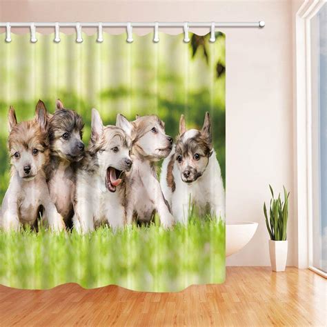 Animals Decor Cute Dogs On The Grass Bath Curtain