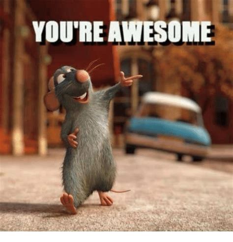 Youre Awesome Meme On Meme