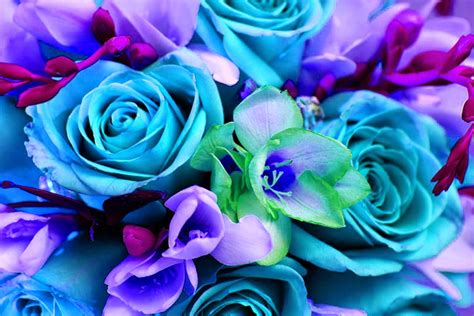 Colorful Bouquet Of Flowers Wallpaper Background
