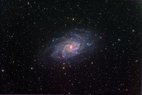 Galaxy M33 Sponli News