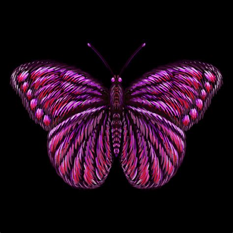 Free 212 Pink Butterfly Svg SVG PNG EPS DXF File