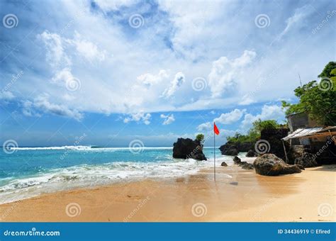 Coast Of Bali Island Indonesia Stock Image Image Of Nature Plant