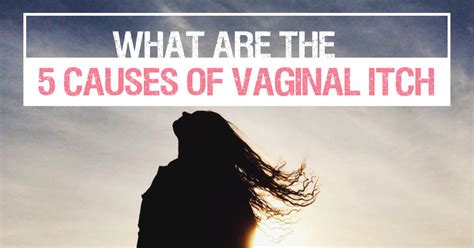 5 Causes Of Vaginal Itch Women S Health Clinic