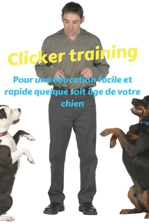 Le Clicker Training Le Guide Pour Débuter Les Confidences De