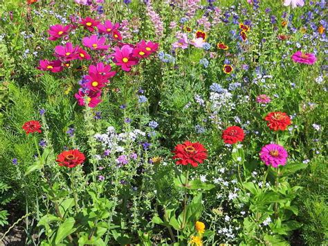 The accommodations is 19 mi from schluchsee, and guests benefit from private parking available on site and free wifi. Blumenwiese Franziskus Mischung - Blumenwiesen