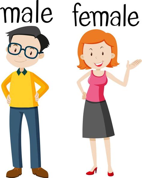 Male Female Ingles Niños Educacion Ingles Enseñanza De Inglés