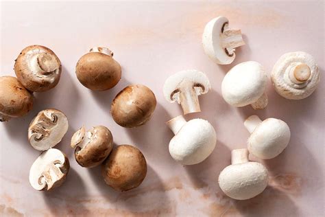 What Are Button Mushrooms