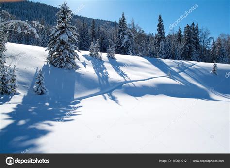 Beautiful Winter Landscape With Snow Covered Trees Stock Photo By
