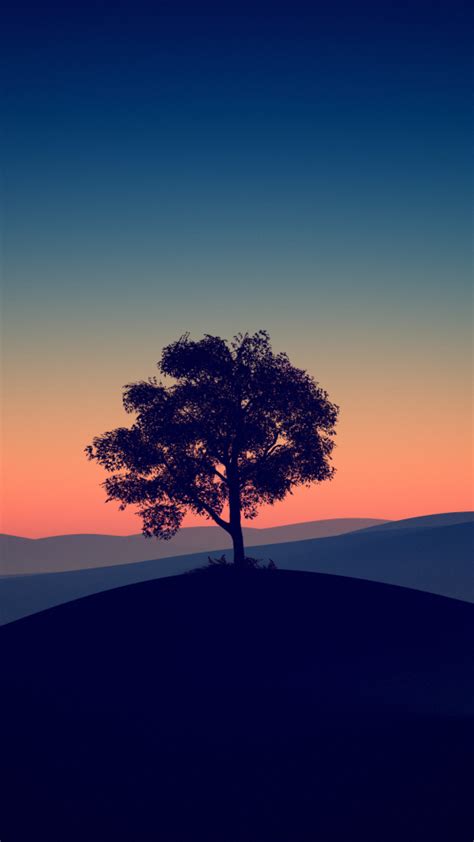 540x960 Tree Alone Dark Evening 4k 540x960 Resolution Wallpaper Hd