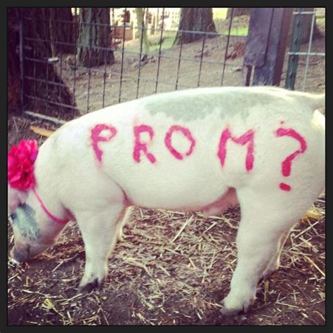 Prom Pig Promposle Cute Prom Proposals Country Prom