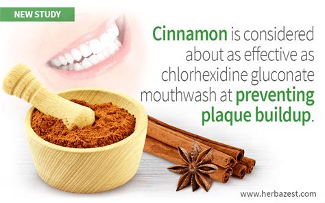 cinnamon based mouthwash effective against plaque herbazest