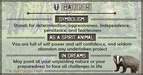 Badger Symbolism Spirit Animal Dream Spirit Animal Totem Animal Spirit