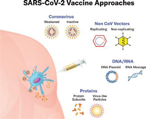 Update On Covid 19 Vaccine Development Asa Monitor American Society