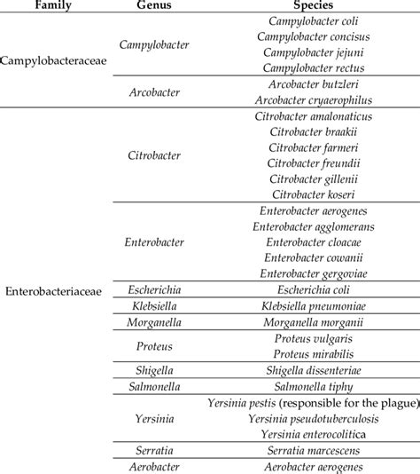 Examples Of Gram Negative Bacteria Download Scientific Diagram