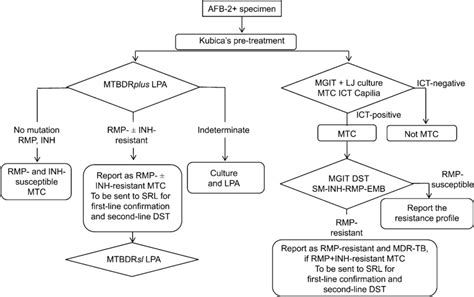 figure optimised algorithm for tb and mdr tb detection in afb positive download scientific