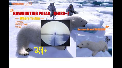 Bowhunting Polar Bears And Where To Aim Thehunter Dd33 Youtube