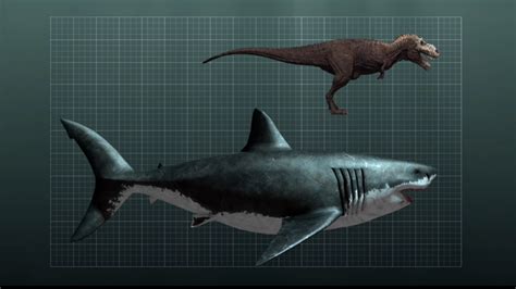 Chronicles Of A Chemist • Sixpenceee Prehistoric Shark Megalodon