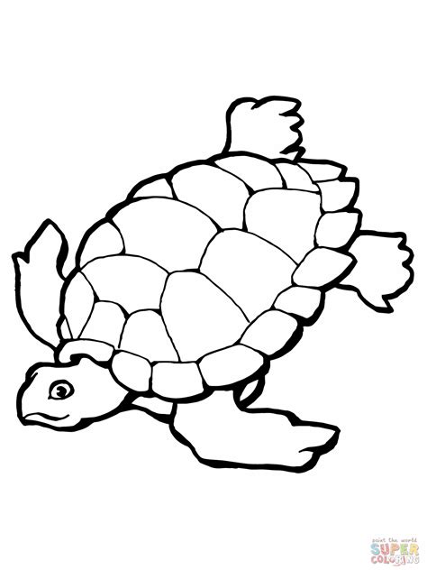 Turtle Coloring Pages Printable