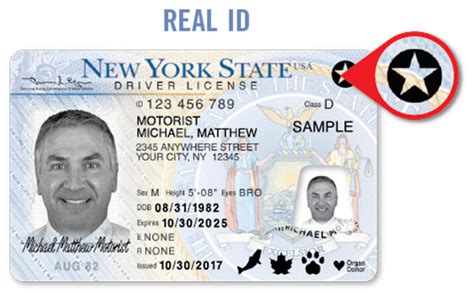 Dmv Reminds Drivers Of ‘real Id Process New Tool On Website Daily