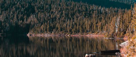 Download Wallpaper 2560x1080 Lake Trees Sky Reflection Dual Wide
