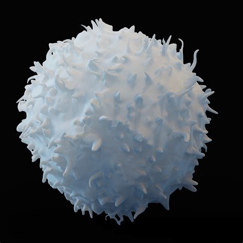 3d Model Lymphocyte Blood Cells Turbosquid 1494158