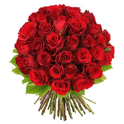 Descubra 48 Kuva Bouquet De Fleur Rose Rouge Et Blanche Thptnganamst