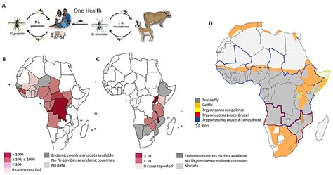 microorganisms free full text current treatments to control african trypanosomiasis and one