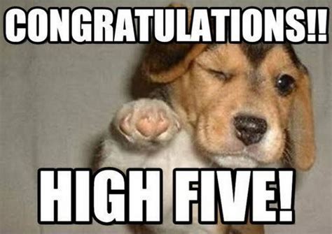 50 Hilarious Congratulations Memes To Celebrate Success In Funny Way