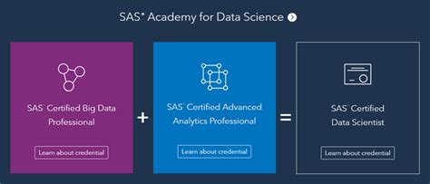 Learning Paths Data Scientist